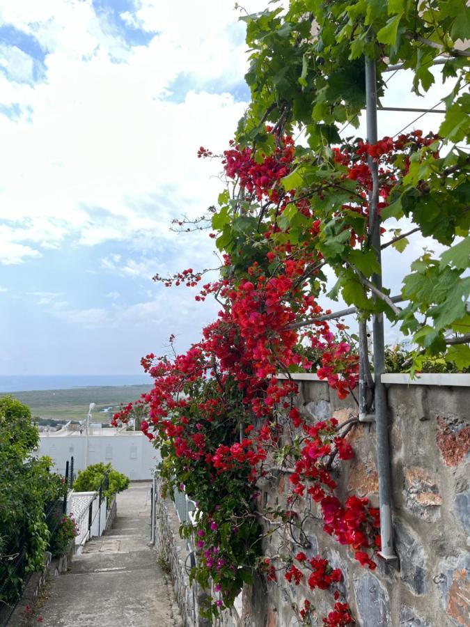 Villa Bella Vista - Near The Beach And Airport Dalaman Exterior foto