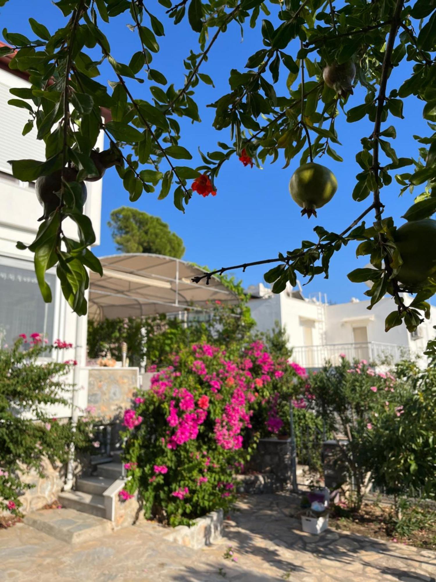 Villa Bella Vista - Near The Beach And Airport Dalaman Exterior foto