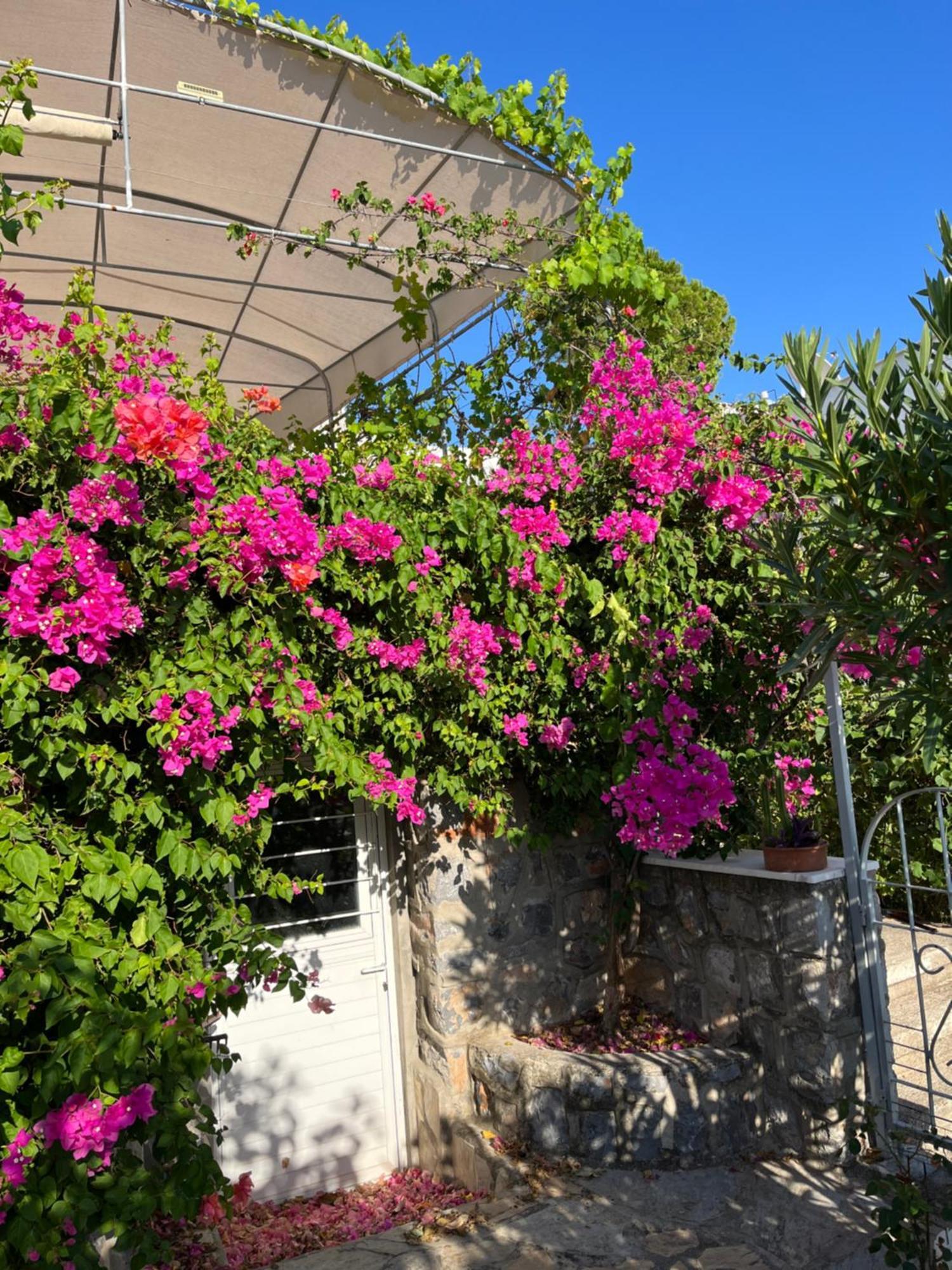 Villa Bella Vista - Near The Beach And Airport Dalaman Exterior foto